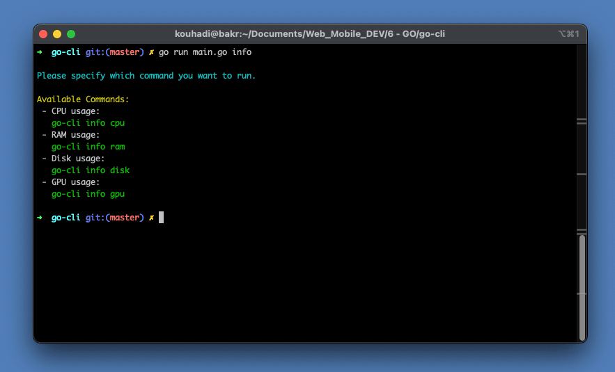 Preview of go-cli information output
