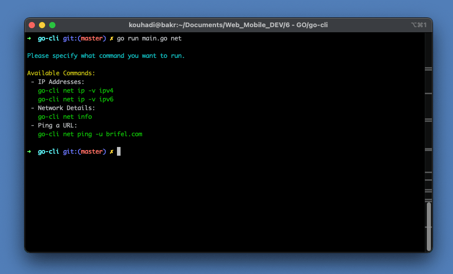 Preview of go-cli network command output