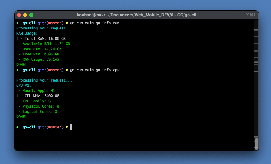 Preview of go-cli RAM and CPU output